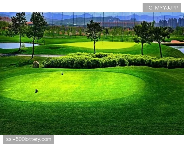 奥克芒俱乐部为2027年美国公开赛启动果岭草种更换工程